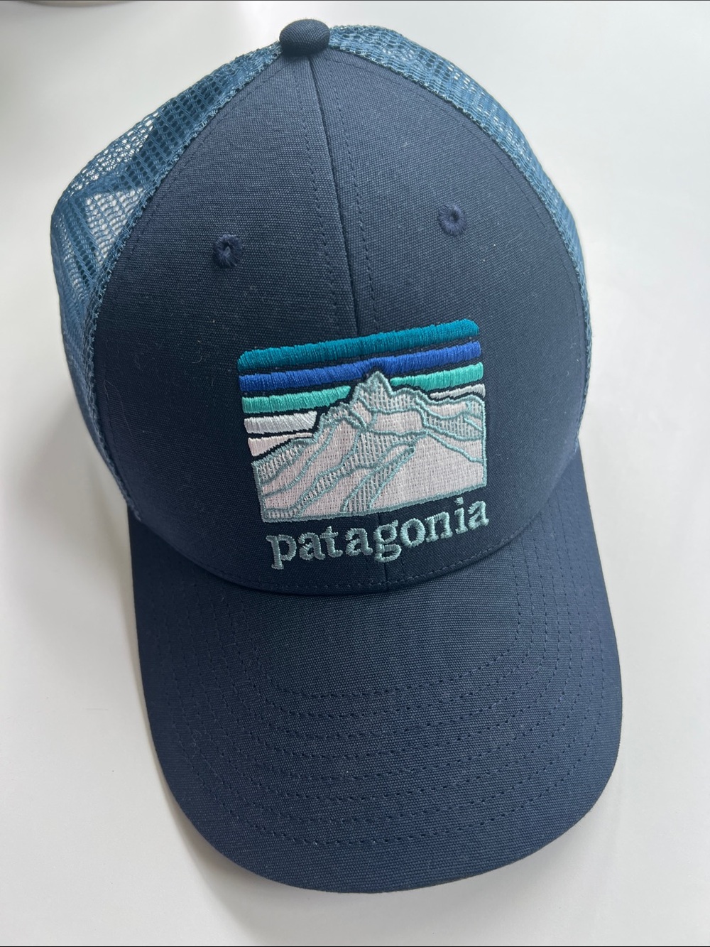 Patagonia Navy and Light Blue Mesh Trucker Hat with Mountain Patch